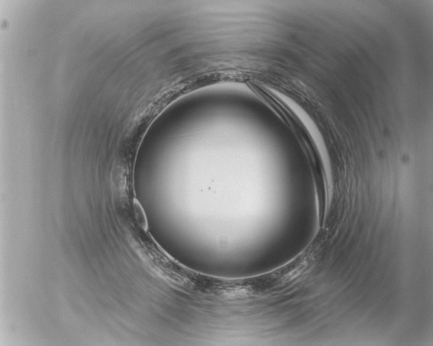 X0000055520456200508262210