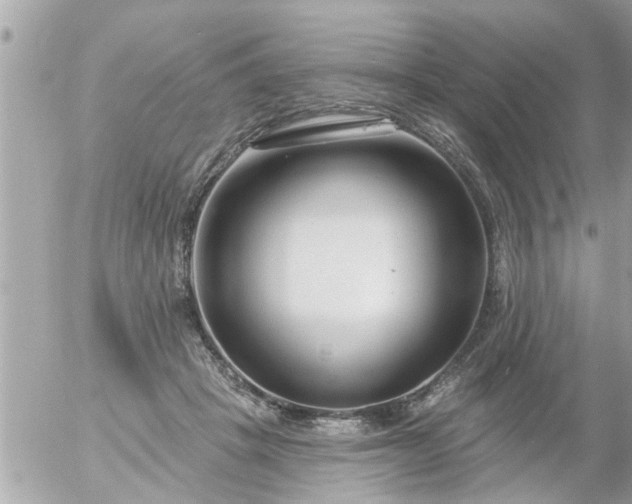 X0000055520457200508262210