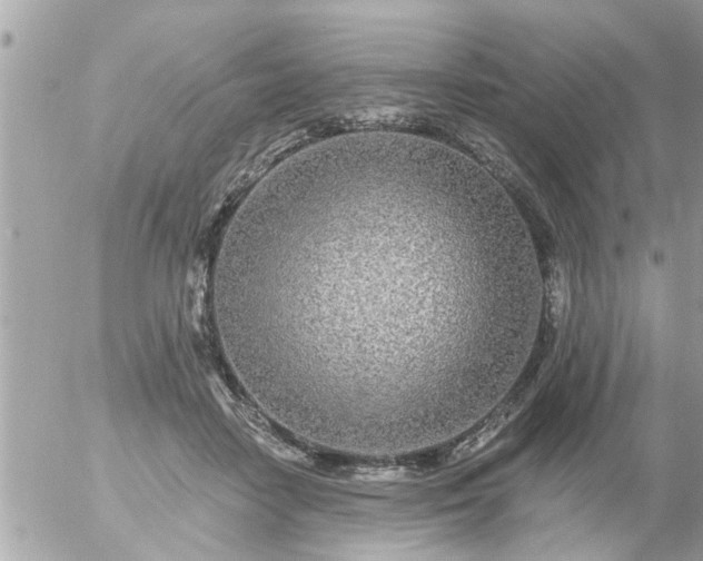 X0000055520458200508262210