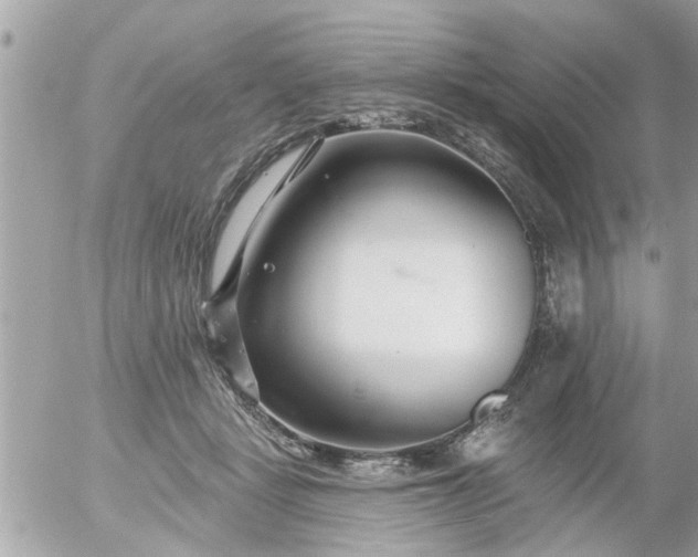 X0000055520461200508262210