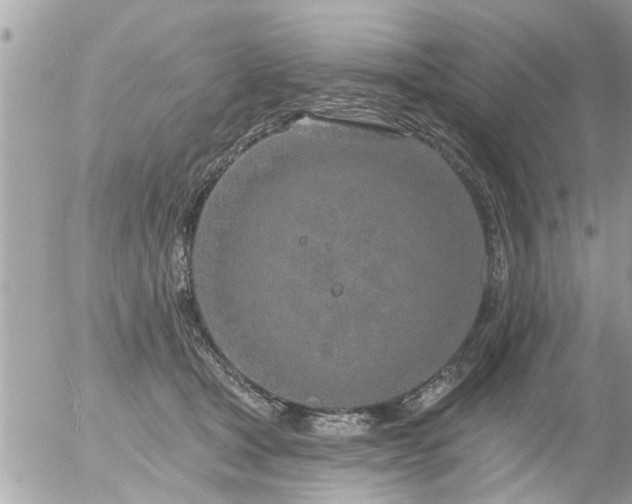 X0000055520465200508262210