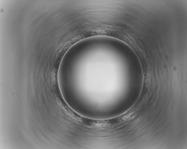 X0000055520466200508262210