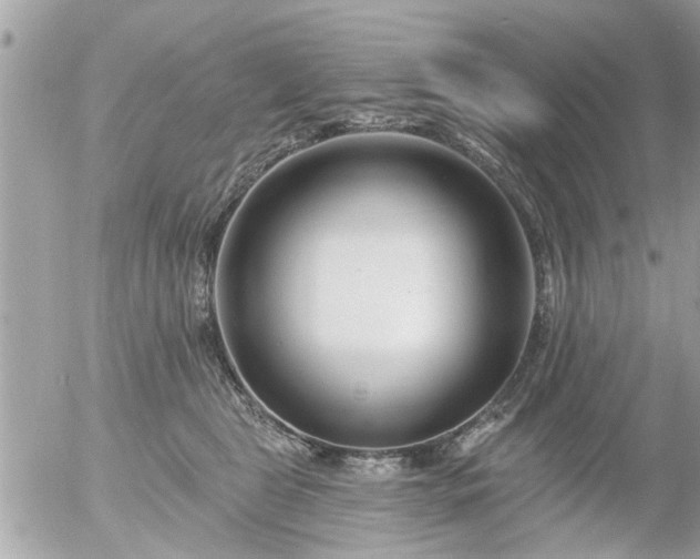 X0000055520469200508262210