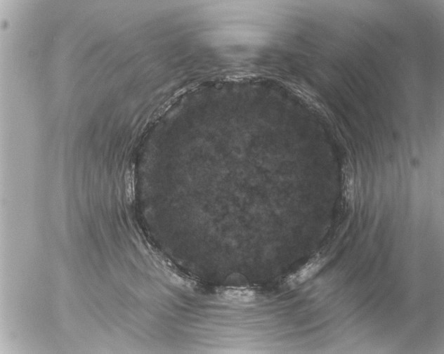 X0000055520471200508262210