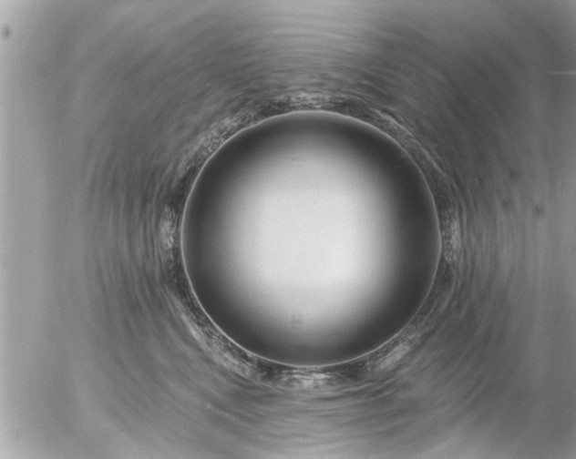 X0000055520472200508262210