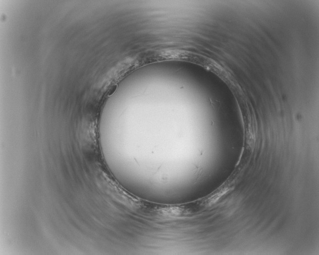 X0000055520473200508262210