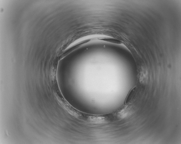 X0000055520476200508262210