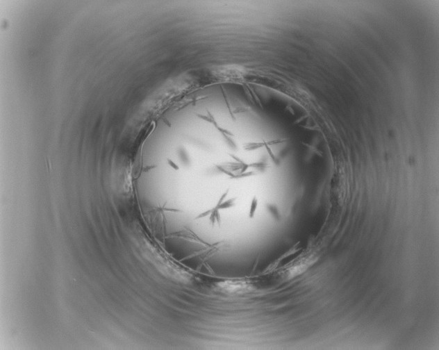 X0000055520477200508262210