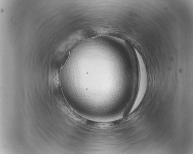 X0000055520479200508262210