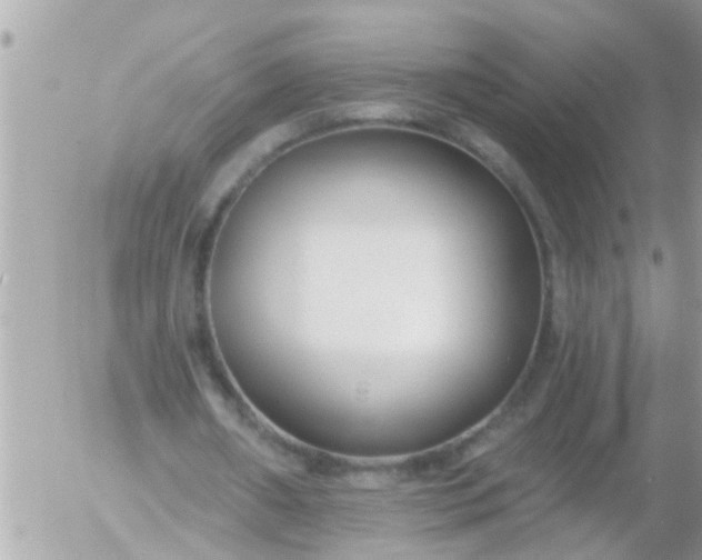 X0000055520482200508262209