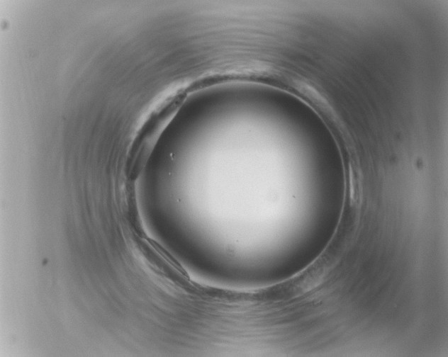 X0000055520483200508262209