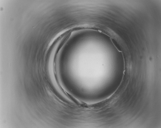 X0000055520484200508262209