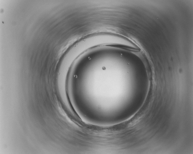 X0000055520485200508262209