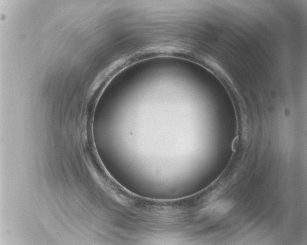 X0000055520486200508262209