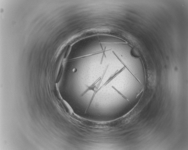 X0000055520487200508262209