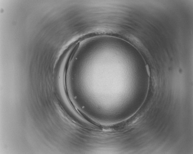 X0000055520488200508262209