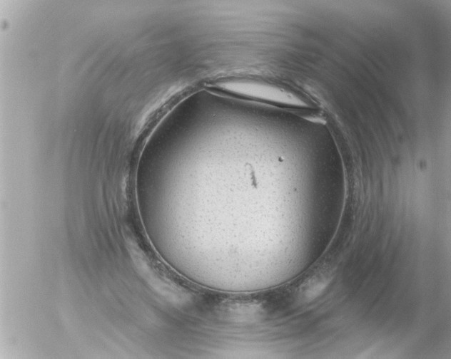 X0000055520491200508262209