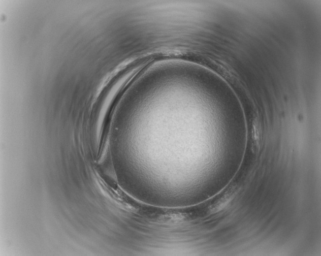 X0000055520492200508262209