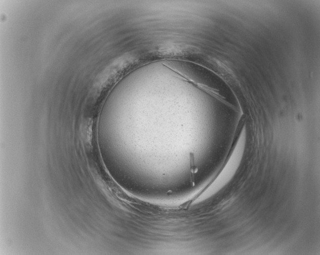 X0000055520495200508262209