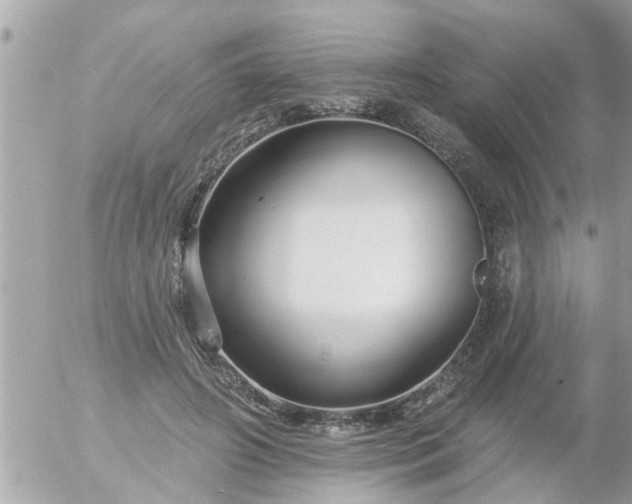 X0000055520498200508262209