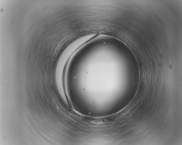 X0000055520502200508262209