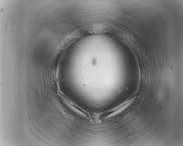 X0000055520503200508262209