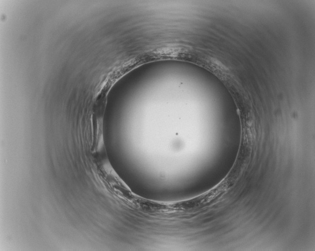 X0000055520504200508262209