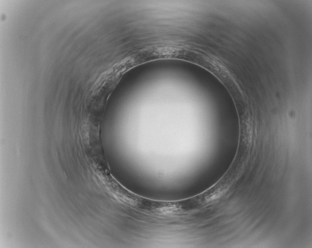 X0000055520505200508262209