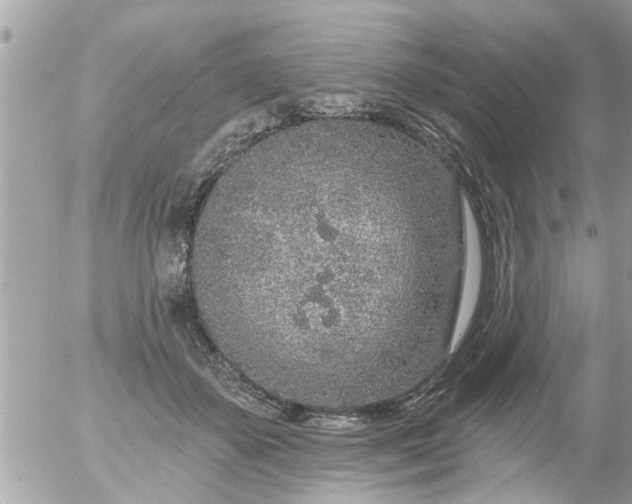 X0000055520507200508262209