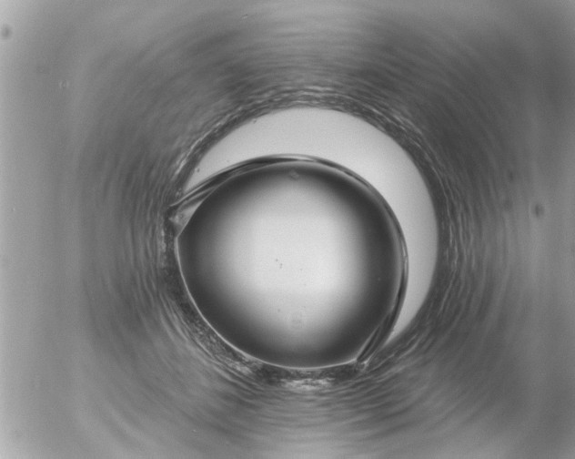 X0000055520508200508262209