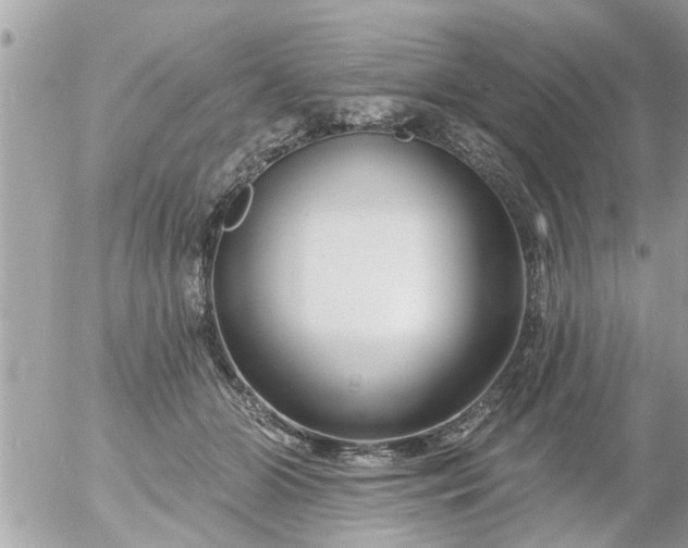 X0000055520510200508262209