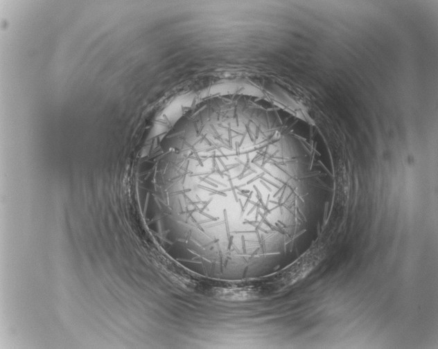 X0000055520511200508262209