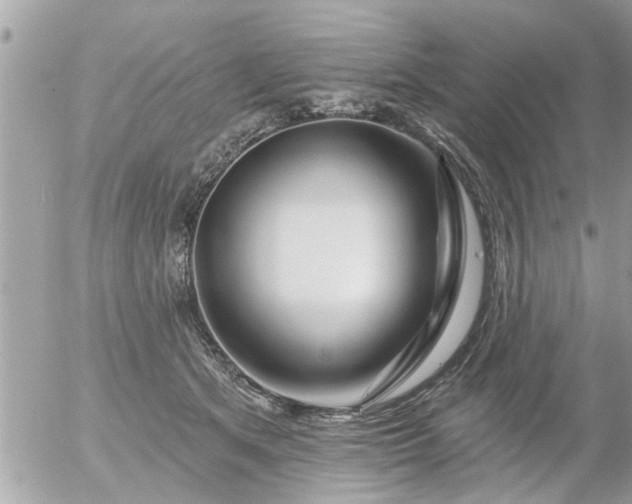 X0000055520513200508262209