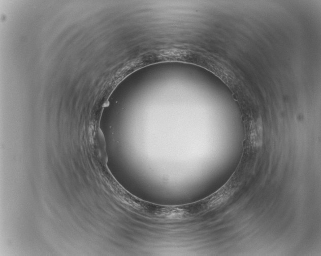 X0000055520514200508262209