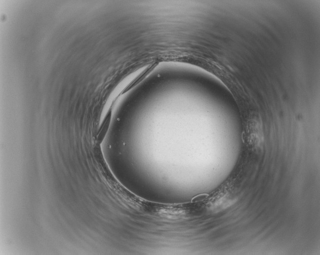 X0000055520515200508262209