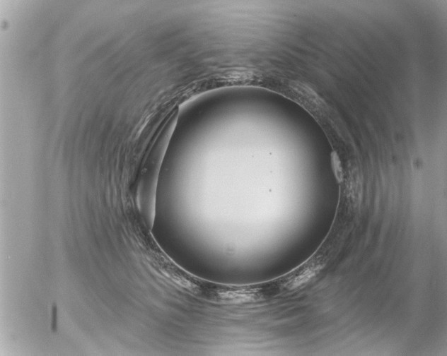 X0000055520516200508262209