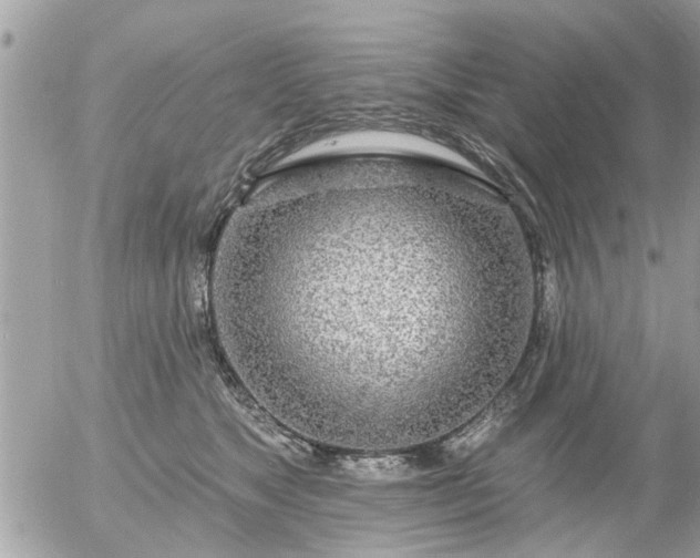 X0000055520517200508262209