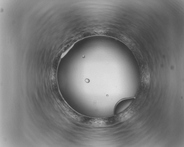 X0000055520518200508262209