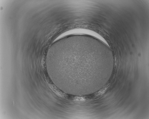 X0000055520519200508262209