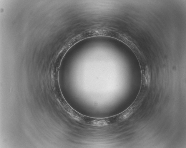 X0000055520520200508262209