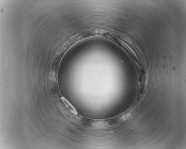 X0000055520521200508262209