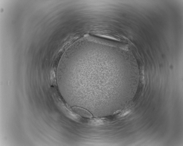 X0000055520523200508262209