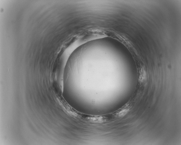 X0000055520524200508262209