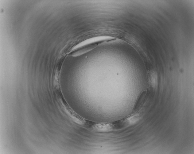 X0000055520526200508262209