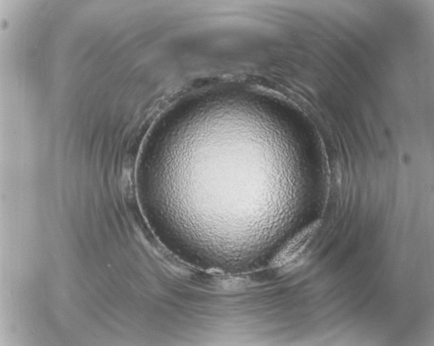 X0000055520527200508262209