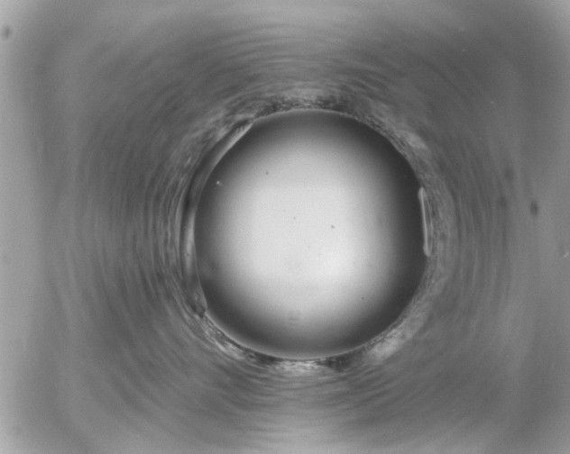 X0000055520528200508262208