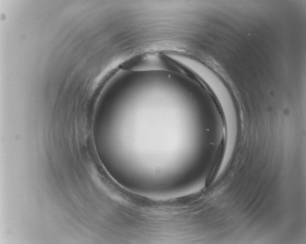 X0000055520530200508262208