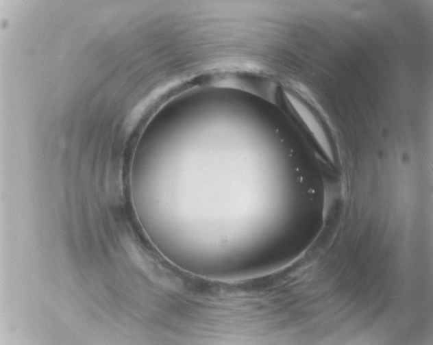 X0000055520531200508262208