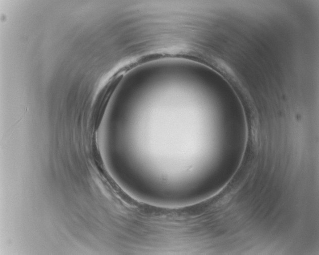 X0000055520532200508262208