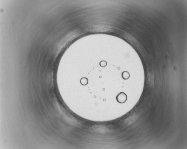 X0000055520534200508262208